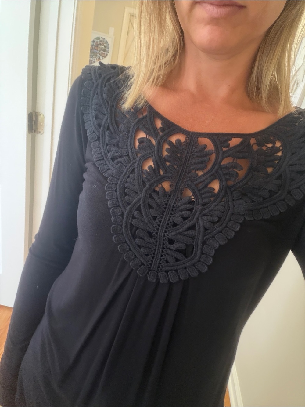 Meadow Rue Black Long Sleeve Top with Crochet Lace Yoke Detail